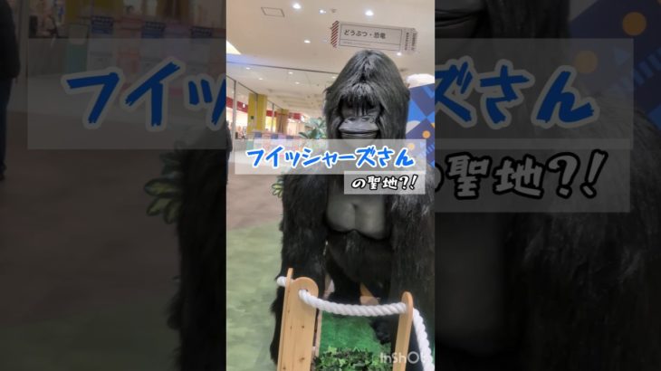 フィッシャーズさんの聖地？！亀有アリオ♡　#shorts  #フィッシャーズ　#youtubeshorts  #キャラクター 　#おもちゃ 　#クリスマス