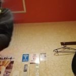 かけめぐる青春 (ビューティ・ペア) を唄っています