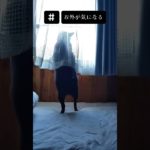 お外が気になるランちゃん　#靴下犬　#犬　#ペット