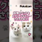 自慢のペットをスクリーンデビューさせちゃおう！