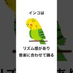 ペットに関する雑学#雑学 #雑学知識 #ペット #動物