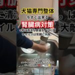 【腎臓病】ペットの腎臓病☝️これ以上悪化させない為に出来る事。