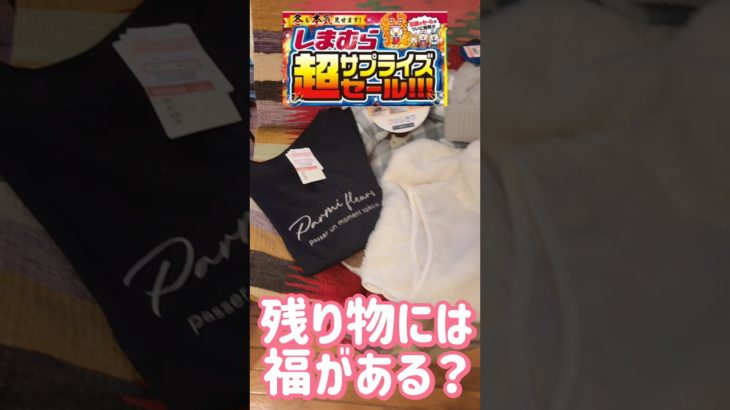 【しまむら超サプライズセール】早速リピ買いに走った‼️ペットベッドが優秀すぎた✨