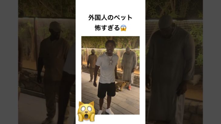 外国人のペット怖すぎる