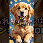 犬が触られたくない場所ランキング５   #ペット #犬 #雑学  #衝撃の事実