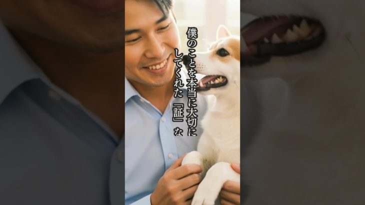 🌈その後悔は、愛の証🌈#虹の橋 #ペットロス