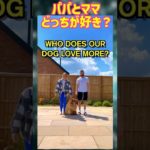 究極の選択！？愛犬はパパとママどっちを選ぶかな？#ペット
