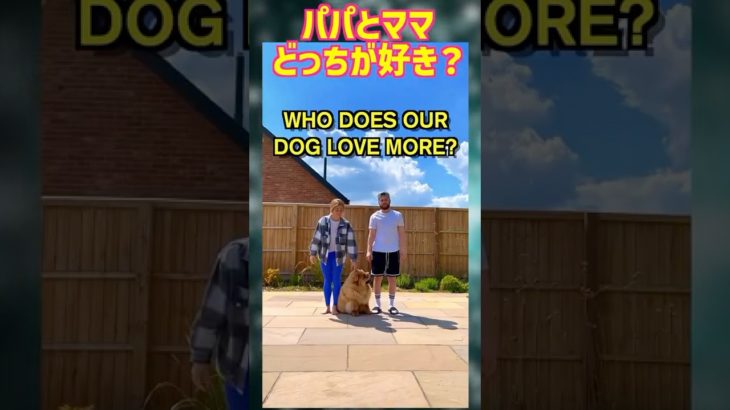 究極の選択！？愛犬はパパとママどっちを選ぶかな？#ペット
