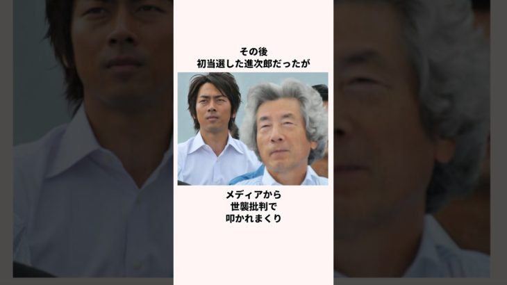 「ペットボトルを投げられた」小泉進次郎氏についての雑学