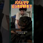 究極の選択！？愛犬はパパとママどっちを選ぶかな？#ペット