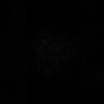 えーと、、、声太ｯｯｯ！歌詞分からんｯｯｯｯｯｯ！うーん…..ビューティフォー☆