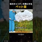 虹のキャンディを降らせる ペット雲