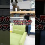 可愛すぎ！ペットも子どもも使えるミニソファが衝撃価格！