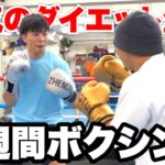 【超過酷】１週間ボクシングに挑戦して何キロ痩せることができるのか！？