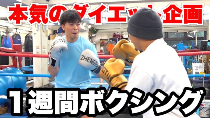 【超過酷】１週間ボクシングに挑戦して何キロ痩せることができるのか！？