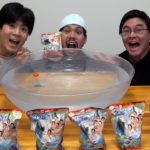 被ったら即モザイクのお風呂釣りボム第三弾で全種類紹介しようとしたら奇跡が起きた！？