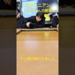 【くぅちゃんの部屋】サル期が終わりました#ペット#犬#ポメラニアン#日本#日本人#日の丸#日本人ファースト