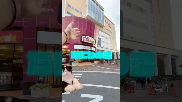 ティラノはペット