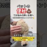 【ペットの便秘】ペットの酷い便秘でお困りの飼い主様はご相談下さい😊骨格のゆがみを正し内臓を正しい位置へ