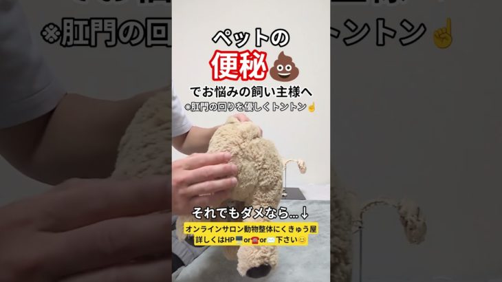 【ペットの便秘】ペットの酷い便秘でお困りの飼い主様はご相談下さい😊骨格のゆがみを正し内臓を正しい位置へ