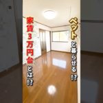 【この快適さ、家賃以上かも…？】ペットと暮らせて家賃３万円台！？