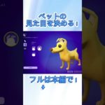 【フォトナ】ペットの見た目を決めるぞ！