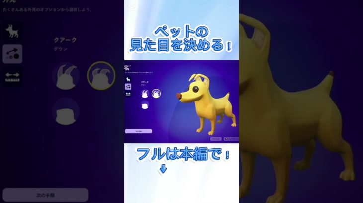 【フォトナ】ペットの見た目を決めるぞ！