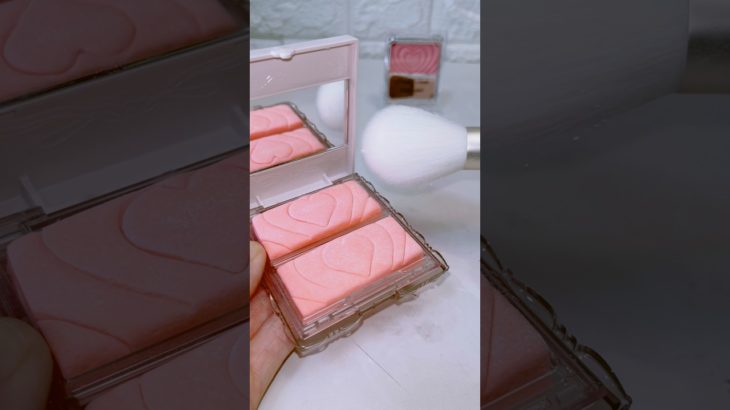 キャンメイク風のチークを食べたいんじゃ…!