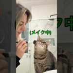 猫にメイクしてみたら、反応が可愛すぎた