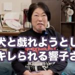 ペットを飼う意味。