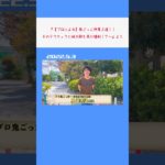 #切り抜き動画 #和泉朝陽 #鬼ごっこ #神業 #フィッシャーズ #鬼御虎狼