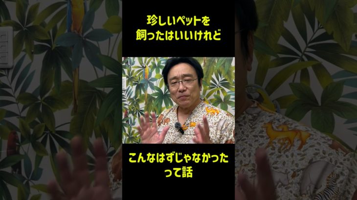 珍ペットの失敗談特集　#珍しい動物 #失敗談 #ナウシカ