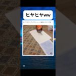 これあるあるだよねw#shorts #面白集 #お笑い #ペット #犬