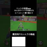 フォートナイトペットの名前がやばすぎる？？www#breinrot #フォートナイト #ブレインロット #fortnite #シークレット #新キャラ #新コード #レアキャラ #激レア #ドラゴン