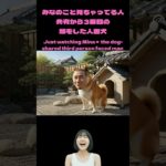 1年間飼わなければいけない、どのペットを選ぶ？