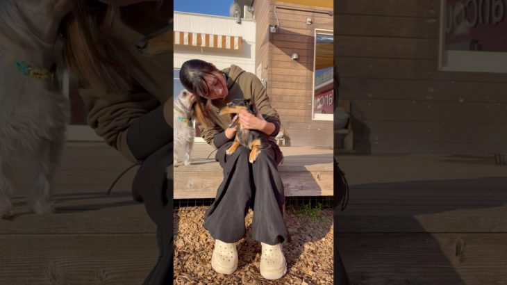 なでなで〜〜 #20251217おうちホテル#ペットホテル#ケージフリー#静岡県袋井市 #ワンコワークス#大型犬#小型犬#中型犬#犬のいる暮らし#イヌバーシティ