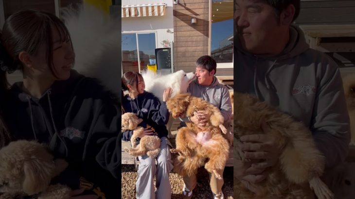 ペロペロ😋 #20251227おうちホテル#ペットホテル#ケージフリー#静岡県袋井市 #ワンコワークス#大型犬#小型犬#中型犬#犬のいる暮らし#イヌバーシティ