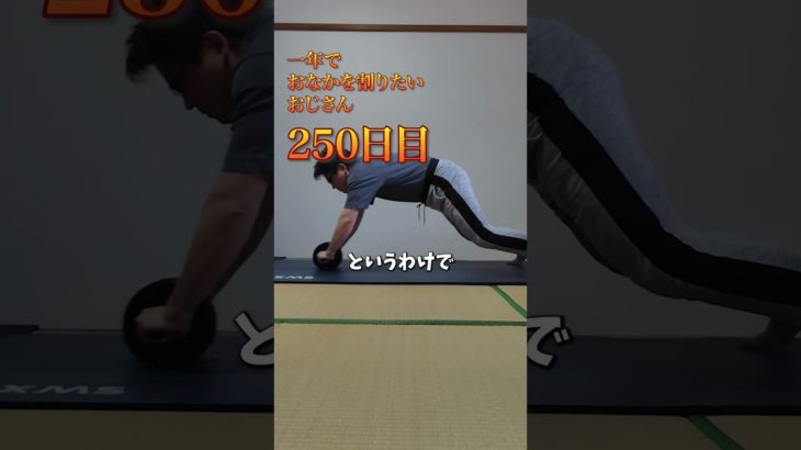 250日目のおじさん #shorts #ダイエット #筋トレ #痩せる #腹筋 #腹筋ローラー