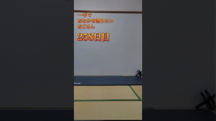 258日目のおじさん #shorts #ダイエット #筋トレ #痩せる #腹筋 #腹筋ローラー #懸垂 #いぬのいる暮らし #シーズー #シニア犬 #shitzu