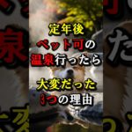 定年後ペット可の温泉行ったら大変だった3つの理由 #定年後 #温泉旅行 #ペット可