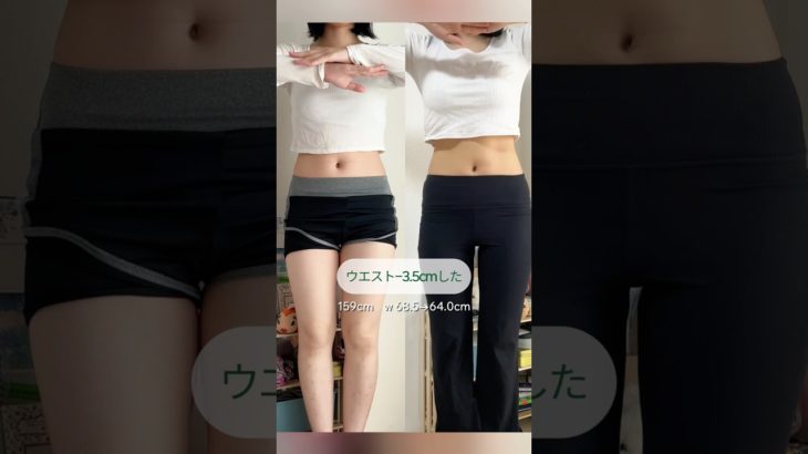 【腹筋】効果感じたお腹トレ3選🙋🏻#ダイエット #ダイエット記録 #ダイエットチャレンジ #くびれ #腹筋 #腹筋チャレンジ