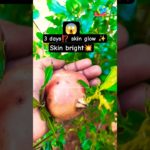 “3 Days-ல Face Glow 😱 | Pomegranate Beauty Tips Tamil”