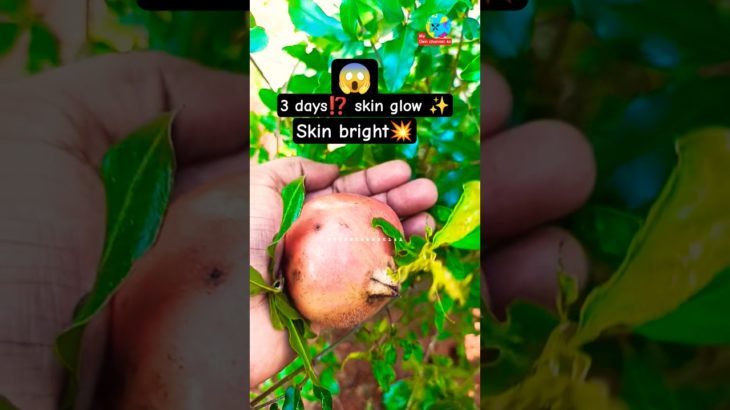 “3 Days-ல Face Glow 😱 | Pomegranate Beauty Tips Tamil”
