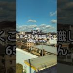 【65kg旅行】エスカレーターNGで移動（疲れる）【痩せる】 #ダイエット