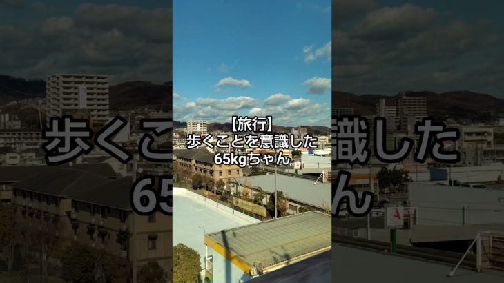 【65kg旅行】エスカレーターNGで移動（疲れる）【痩せる】 #ダイエット