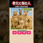 挑戦！99%老化に悩む人には違って見える犬の絵🧠脳トレで鍛えよう