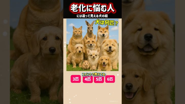 挑戦！99%老化に悩む人には違って見える犬の絵🧠脳トレで鍛えよう