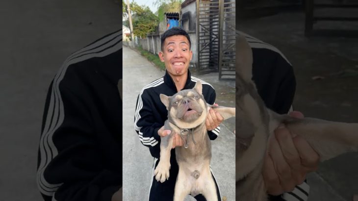 A Greedy Dog Falls Into a Predator’s Trap | Emotional Pet Story