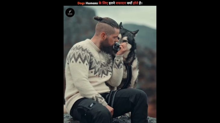 A dog is not just a pet, it’s a true friend