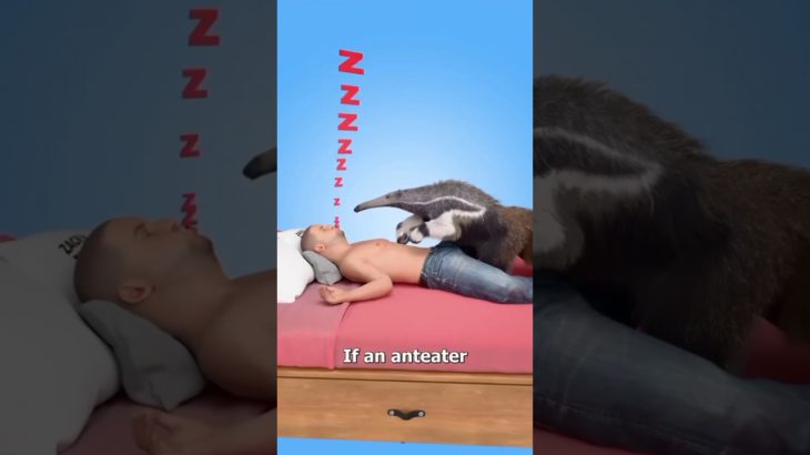 Agar Anteater Ne Tumhare Pet Ko Lick Kar Diya Toh Kya Hoga? 😱 #viral #shorts